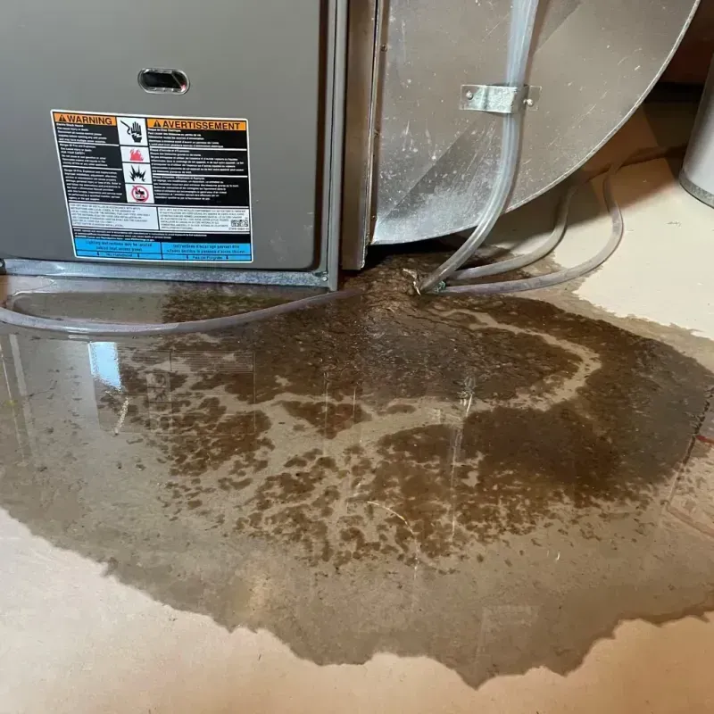 Appliance Leak Cleanup in Bethel Park, PA